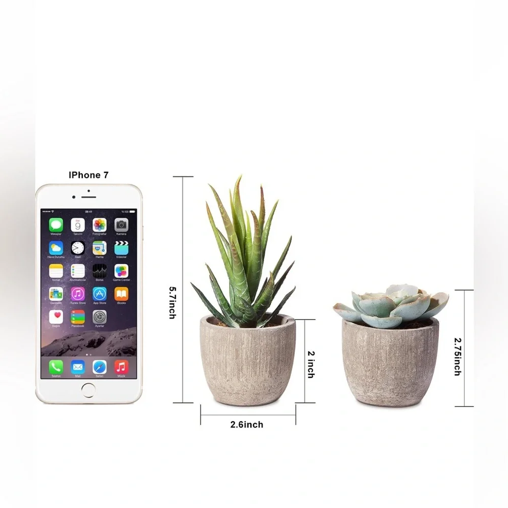 {SHEIN} Jelofly Artificial Succulent Plants Assorted in Gray Pots Set of 5